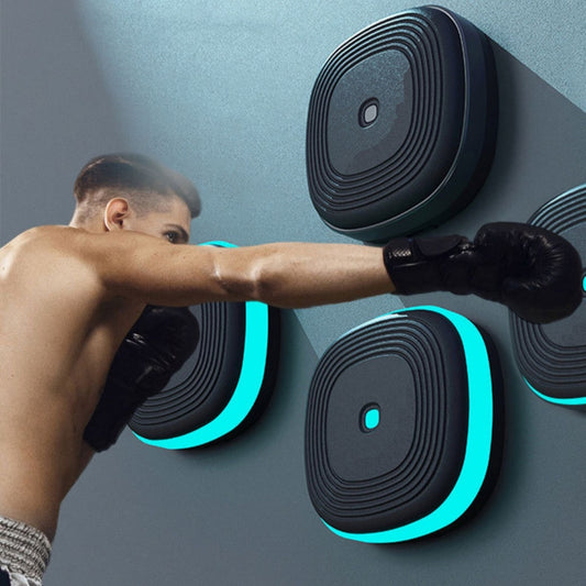 Bluetooth Music Boxing Target