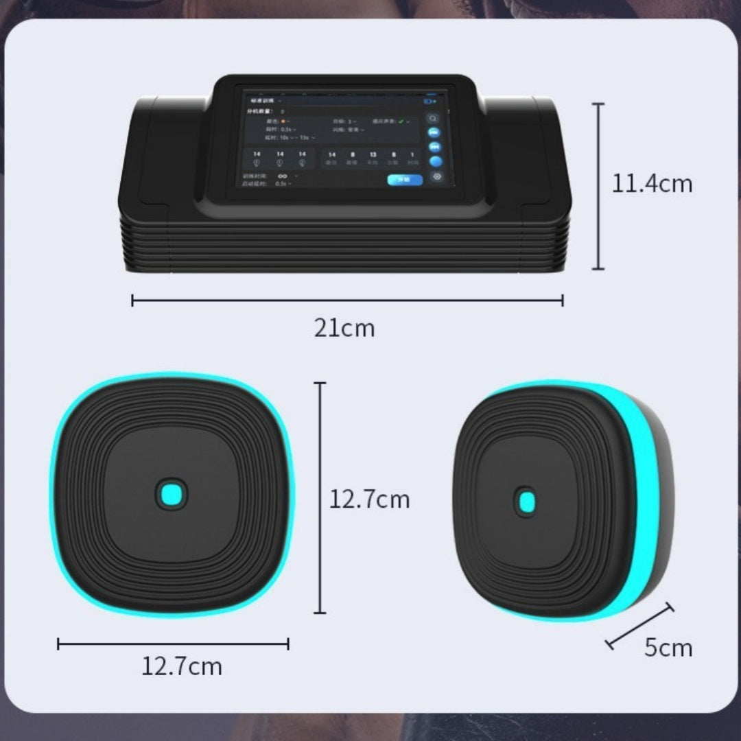 Bluetooth Music Boxing Target